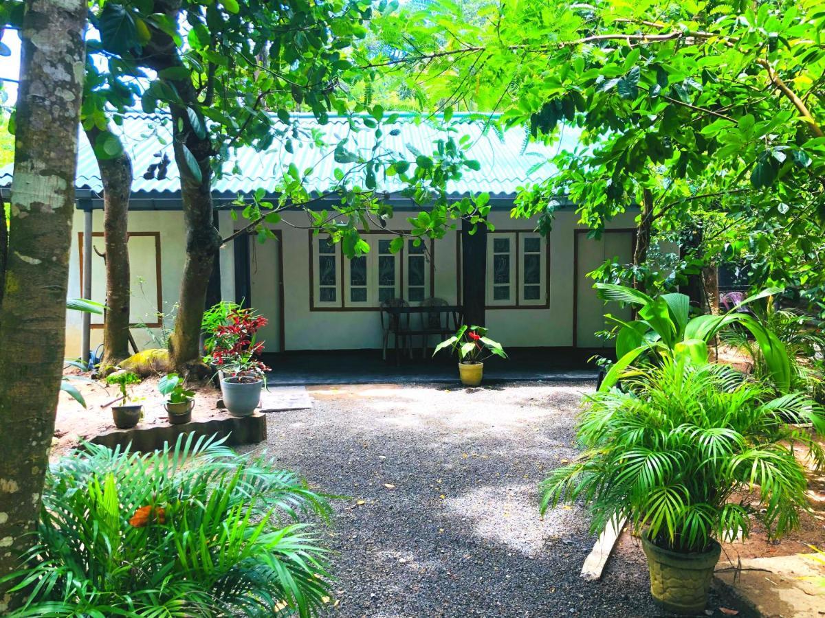 Drongo Place Dickwella Exterior foto